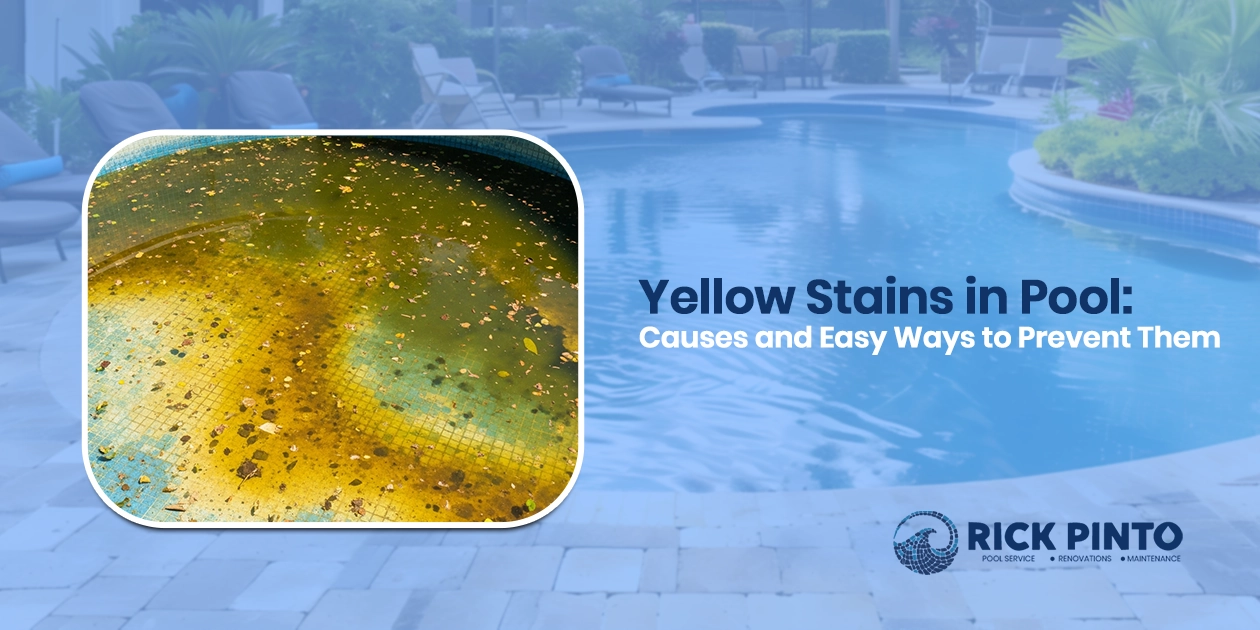Rick Pinto Pool Service graphic titled 'Yellow Stains in Pool: Causes and Easy Ways to Prevent Them,' featuring a contrast between a clean pool and an inset photo of severe yellow pool stains on a tiled floor.
